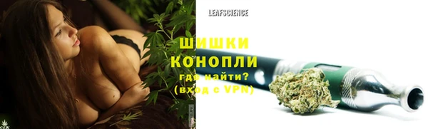 соль ск Гусь-Хрустальный