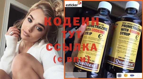 шишки Гусиноозёрск