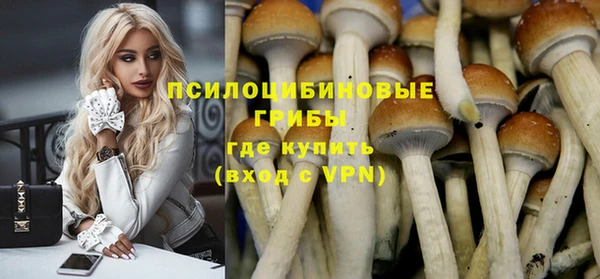 кристаллы Новозыбков