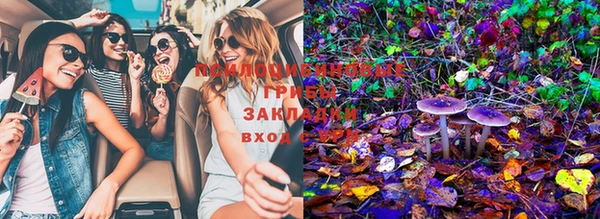 марихуана Новодвинск