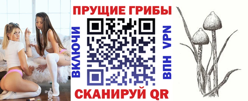 darknet как зайти  Салехард  Псилоцибиновые грибы Psilocybe  магазин   
