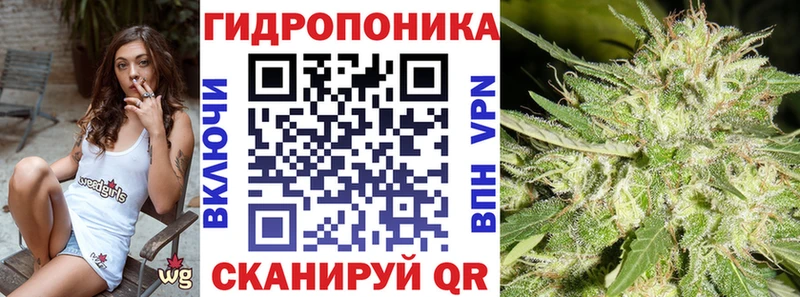 Конопля SATIVA & INDICA  Салехард 